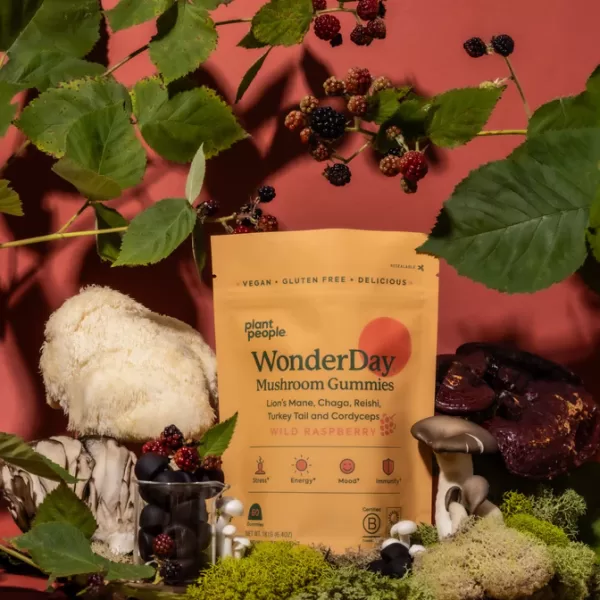 WonderDay Mushroom Gummies - Image 2