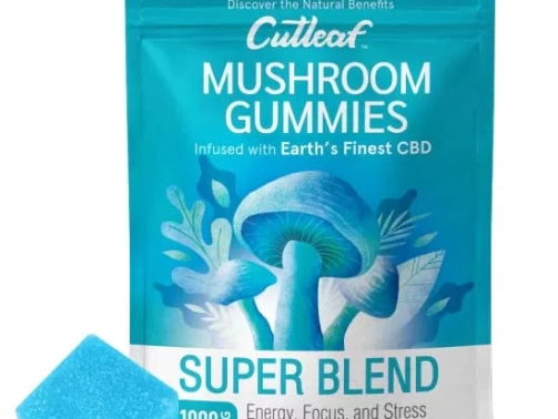 Mushroom-Gummies-SuperBlend-I-1